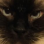 Annette Fuller - @annette.fuller.9212 - Instagram