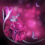 Annette Funchess - Facebook
