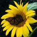 Annette Gable Glisson - Facebook