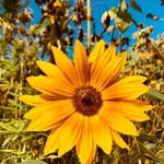 Annette Gabler - @gablerannette - Instagram