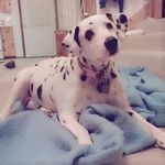 Annette Gamble - @joyce.gamble.965 - Instagram