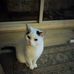 Annette Gilbert - Facebook