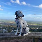 Annette Gilbert - @annette.gilbert.50702 - Instagram