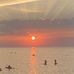 Annette Gilbert - Facebook