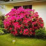Annette Gilbert - @gilberta01ag.ag - Instagram