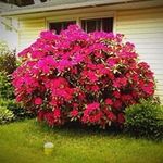 Annette Gilbert - @annettegilbert5498 - Instagram
