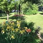 Annette Grady - @annette.grady.5036 - Instagram