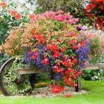 Annette de Gregorio - Facebook