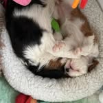 Annette Griffith - @annettegriffith36 - Instagram