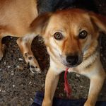 Annette Griffith - @annette.griffith.7374 - Instagram