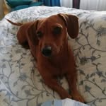 Annette Griffiths - @annettegriffiths66 - Instagram