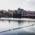 annette_hammel - @annette_hammel - TikTok