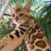 Annette Herrington - @annette.herringto3 - TikTok