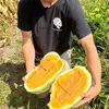 Annette Hester - @annette.hester - TikTok