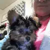 annettehester481 - @annettehester481 - TikTok