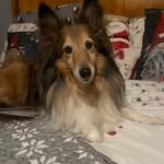 Annette Higgins - @annette.higgins.560 - Instagram