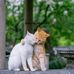 Annette Higgins - Facebook