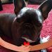 Annette Holding - Facebook