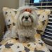 Annette Horner - Facebook