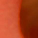 Annette_Horner - @annette_hornerf - Instagram