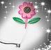 Annette Huffman Zetts - Facebook