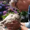 Annette Jansen Of Lorkeers - @annette.jansen.of - TikTok