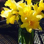 Annette Kessler - @kessler5337 - Instagram