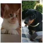 Annette Krämer - @annette.kramer.351 - Instagram
