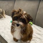 Annette Kramer - @annettekramer8 - Instagram