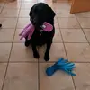 Annette - @langannette71 - TikTok