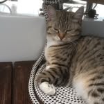 Annette Lang - @linchen4321 - Instagram