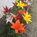 Annette Lang - @annette.lang - Instagram