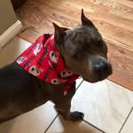 Annette LaPointe Hicks - @annette_hicks_44 - Instagram