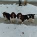 Annette Larson - Facebook