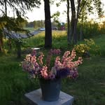 Annette Lundgren - @annettelundgren67 - Instagram