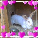 Annette Marlow - Facebook