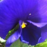 Annette Marlow - @annette.marlow.355 - Instagram