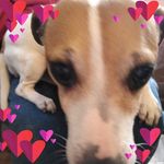 Nannette Marlow - @nannettemarlow - Instagram