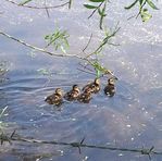 Annette Marriott - Facebook