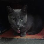 Annette Mc Dowell - @annettemcdowell2728 - Instagram