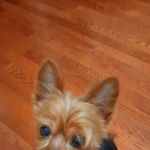 Annette Miles - @annette.miles.1806 - Instagram