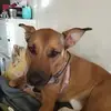 Annette Milligan - @annette.milligan7 - TikTok