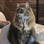 Annette - @anne.mingot - Instagram