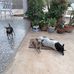 Annette Miranda - Facebook