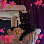 Annette Mitchell - Facebook