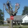 Annette Mitchell - @annette.mitchell6 - TikTok