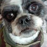 Annette Mitchell - @annettemitchell3433 - Instagram