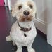 Annette Moss - Facebook