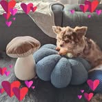 Annette Mueller - Facebook