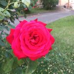 Annette Mueller - @a.muellerco - Instagram